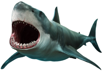 大白鲨3d 插画