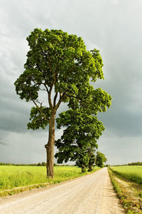 乡村道路