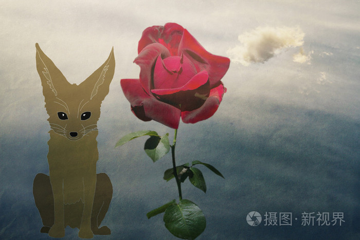 狐狸和玫瑰