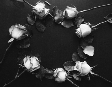 黑色背景黑白相间的美丽玫瑰花束的圆框