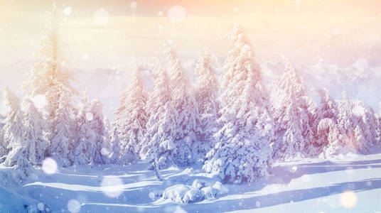 冬季景观树木和围栏在霜, 背景与一些柔和的亮点和雪花。新年快乐。欧盟, 乌克兰, 欧洲