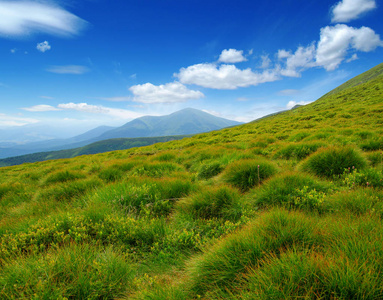 在夏天山风景