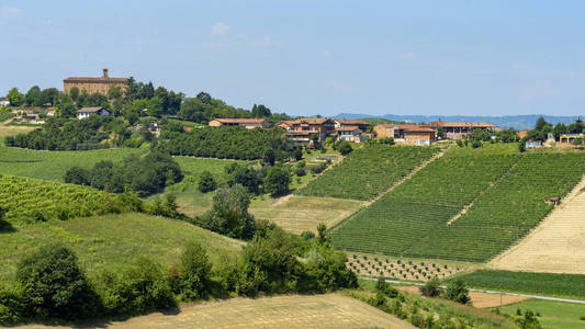 从 Govone 到圣 Alfieri, 阿斯蒂, Monferrato, 意大利山麓, 夏季的道路