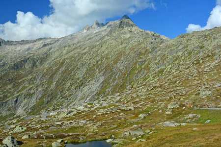 瑞士 Bernese 阿尔卑斯 Grimsel 山口以上的 Nagelisgratli 岭