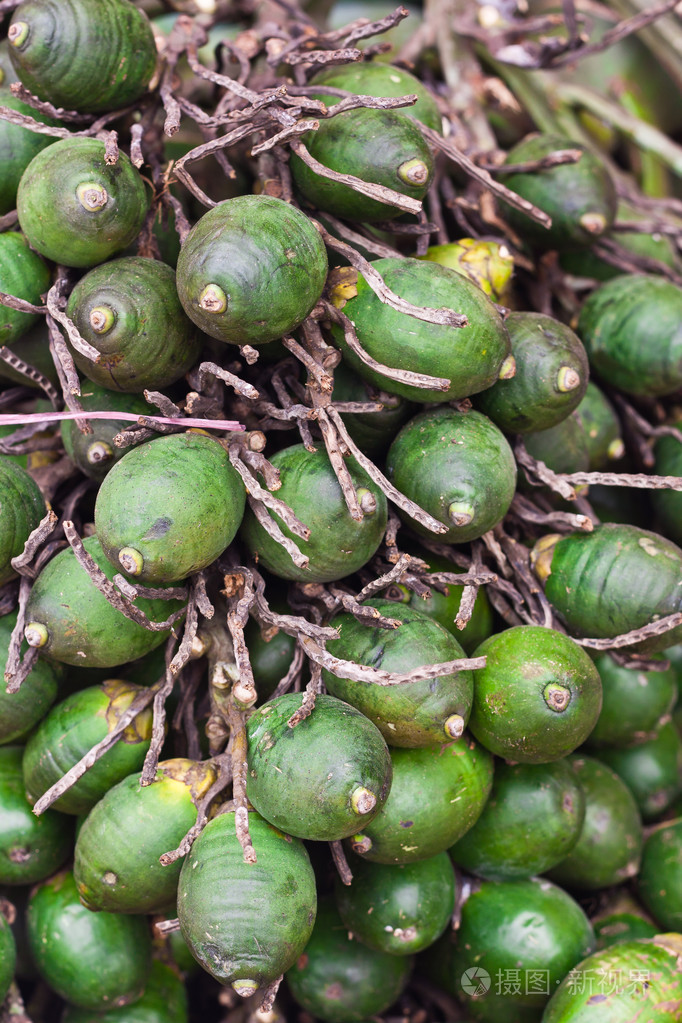 成熟的槟榔