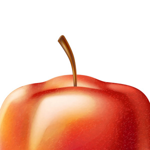矢量逼真红苹果果3d 特写
