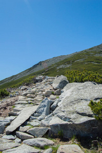 阳光明媚的山地景观与绿化