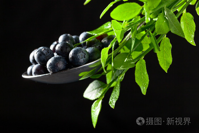蓝莓