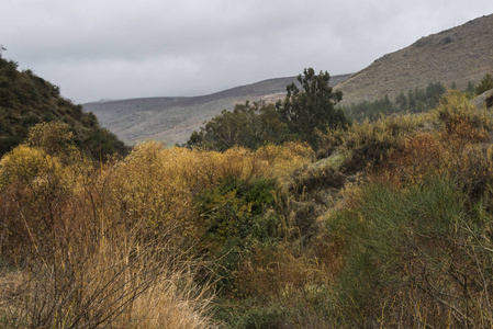 风景秀丽的风景, Nahal Ayoun 自然保护区, Metula, 没有