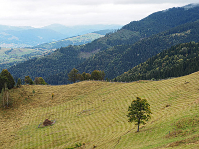 Carpatian 山顶景观