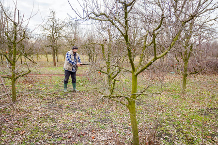 果树修剪图片 果树修剪素材 果树修剪插画 摄图新视界