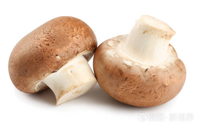 新鲜香菇蘑菇上孤立的白色背景