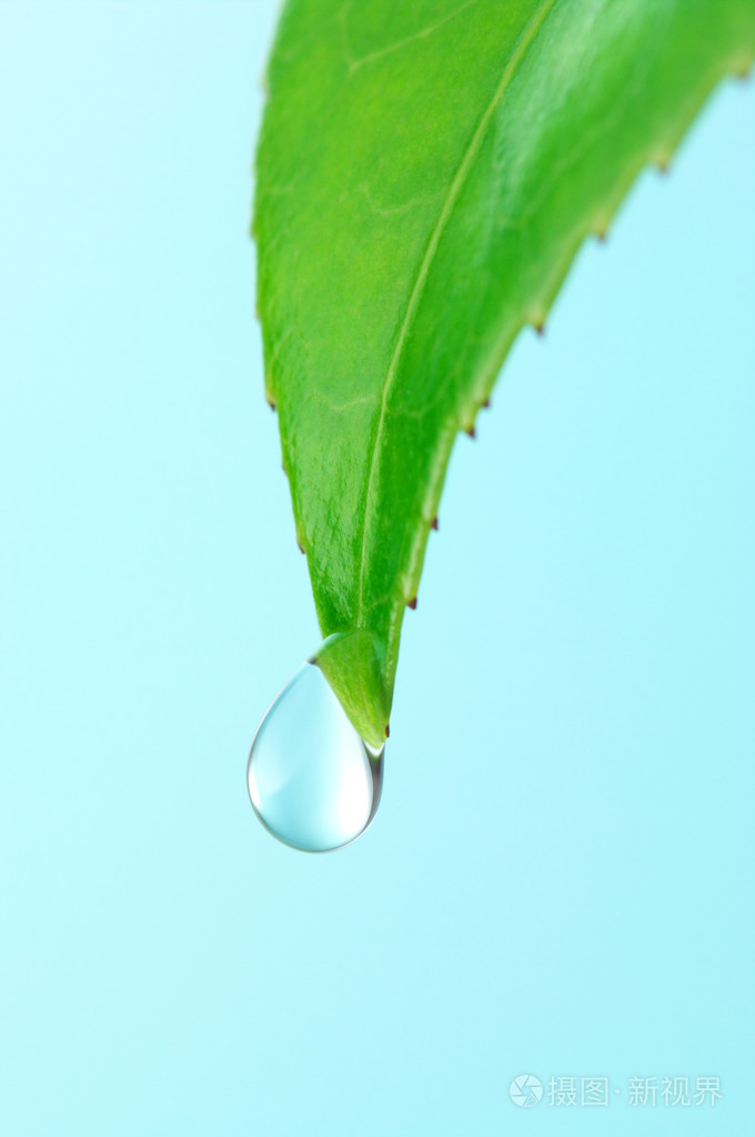 水滴和叶子垂直