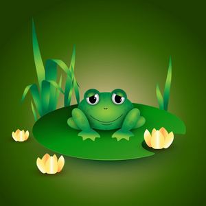 坐在睡莲的叶子上的青蛙