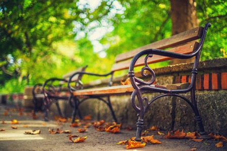秋天的公园的长凳。秋季景观