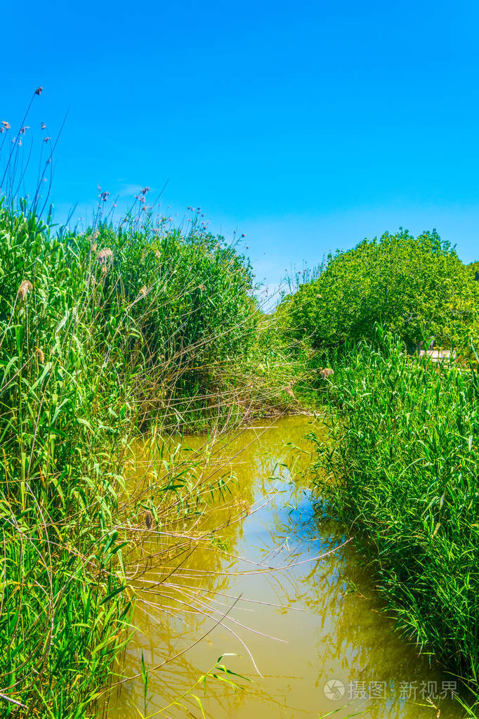 spaialbufera国家公园沼泽地