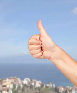 确定的协议图片