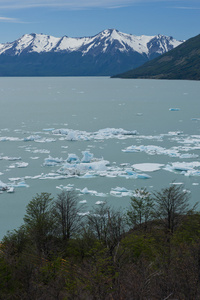 冰山浮在湖阿根廷图片