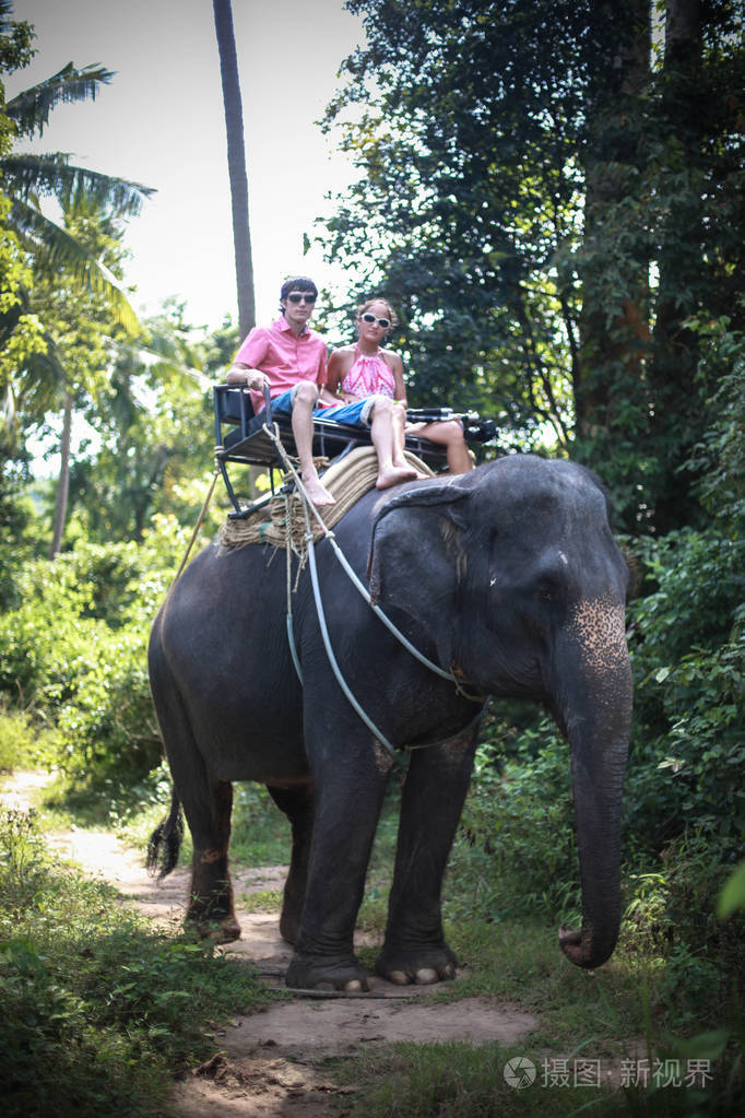 一对年轻的情侣在泰国大象农场骑大象.旅游景点