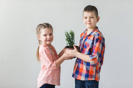 可爱的孩子男孩和女孩在一个锅里，抱着年轻的植物