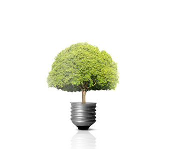 保育 储蓄 经济 明亮 环境 能源 效率