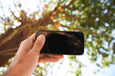 手持智能手机对树和天空的背景