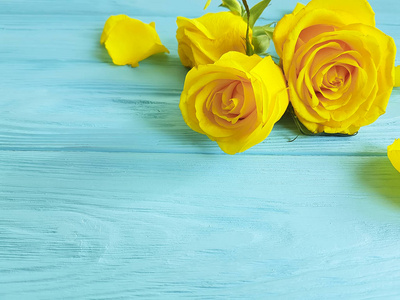 黄色玫瑰在蓝色木头, 地方为文本