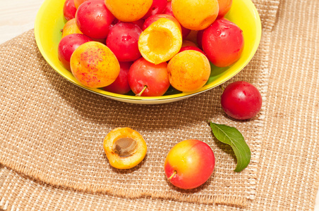 樱桃李子, 杏照片