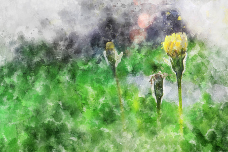 绿草花的水彩风格与抽象意象