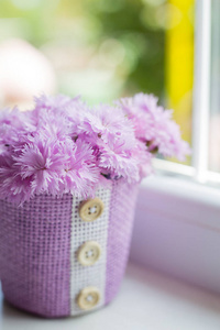 日光下窗上美丽的粉红色康乃馨的紫色篮子与温柔的花束