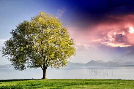 景色背景图片 景色背景素材 景色背景插画 摄图新视界