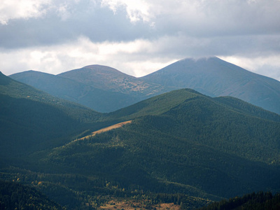 绿山村在绿色森林