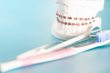 口腔健康概念中的正畸牙科模型