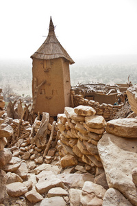 马利村非洲的粮仓。