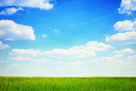 绿色的原野和蓝蓝的天空风景
