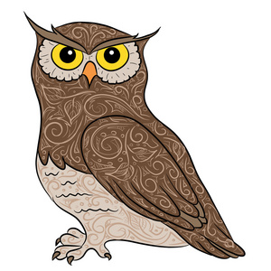绘图的猫头鹰手绘图猫头鹰照片