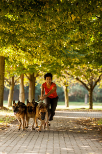 女子在公园的三个德国牧羊犬