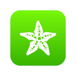 海星图标数字绿色