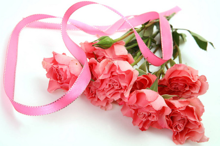 粉红色的玫瑰和丝带在白色背景图片