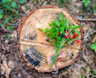 在树桩上的草莓花束