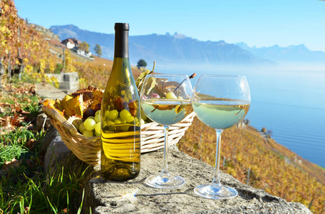 葡萄酒和葡萄对瑞士日内瓦湖