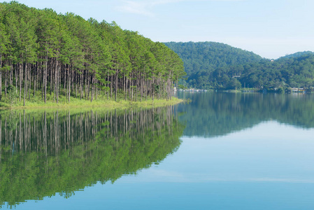松树森林海岛反射在湖与新鲜空气和自然, 版本全景