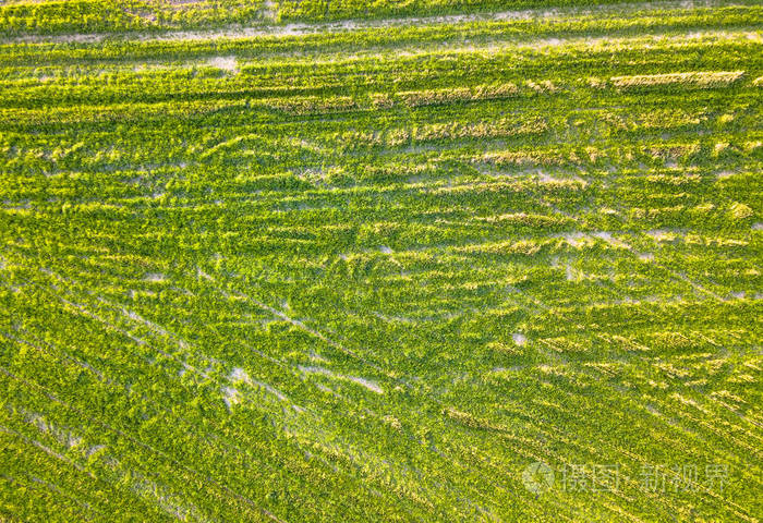 新修剪的田野的无人机照片乡村的早春春天-自上而下视图, 纹理