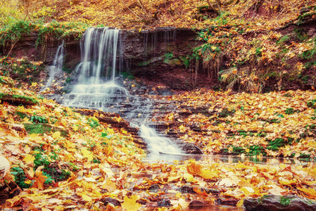 秋天的阳光下的瀑布。喀尔巴阡山乌克兰。欧洲