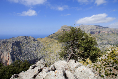 马略卡岛山