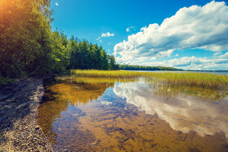湖岸与树木和蓝天。美丽的自然芬兰