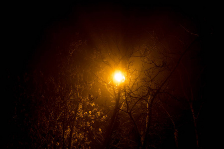 在浓雾中夜晚街灯的散射光