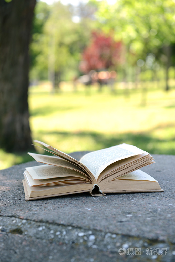 在公园里本打开的书