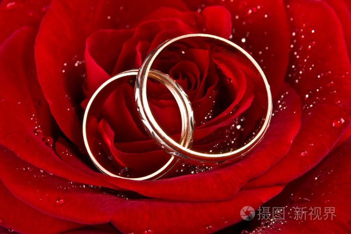 花一朵玫瑰两个结婚戒指