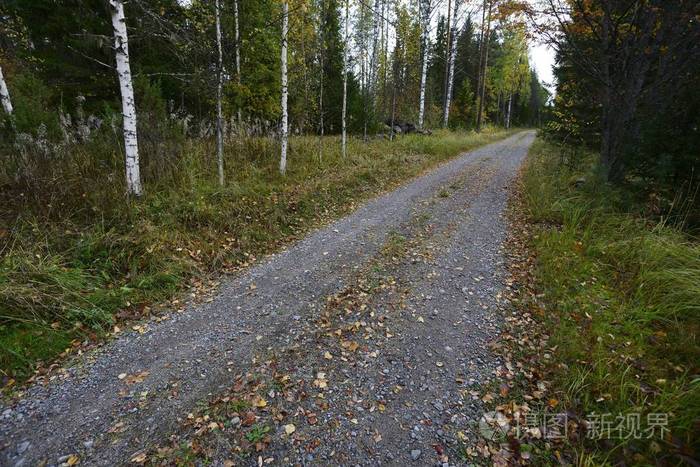芬兰秋季森林里的泥土路